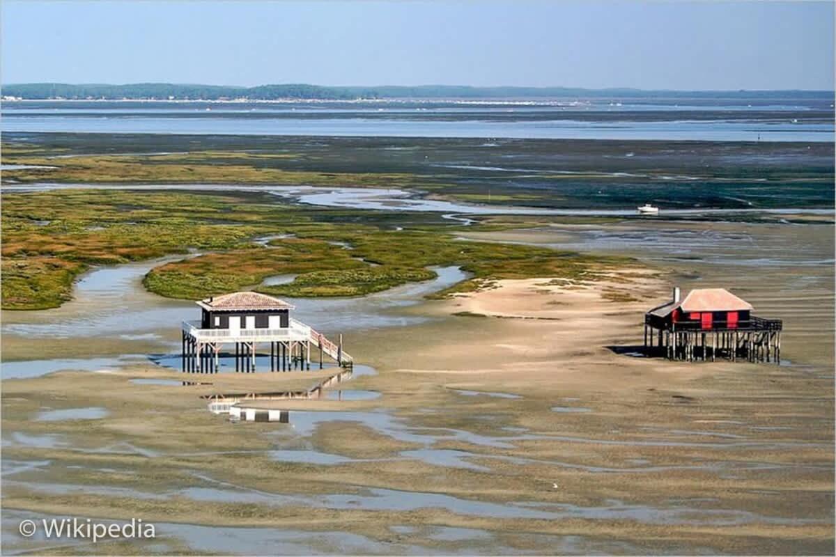 Beautiful Louisiana Villa Sleeps 6 With Pool Mios Bagian luar foto